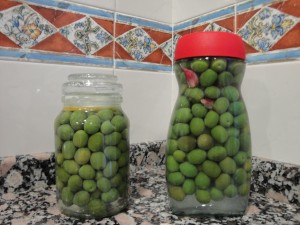 ACEITUNAS-2