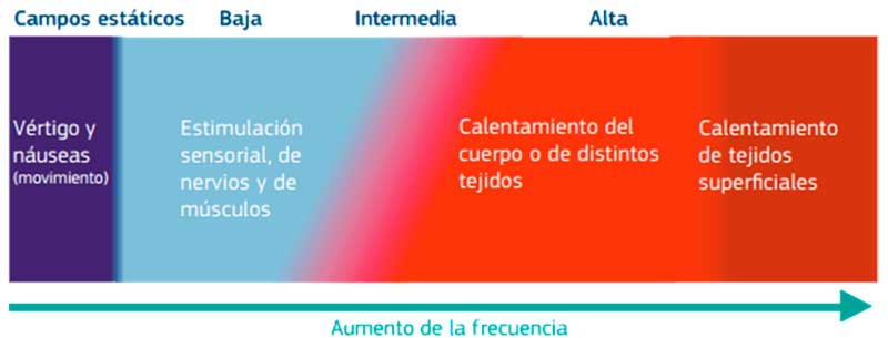 exposicion-campos-emf-parte-2-6